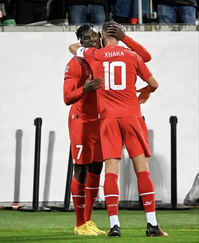 瑞士vs喀麦隆足球历史比分结果对比 瑞士近几年成绩更加出色