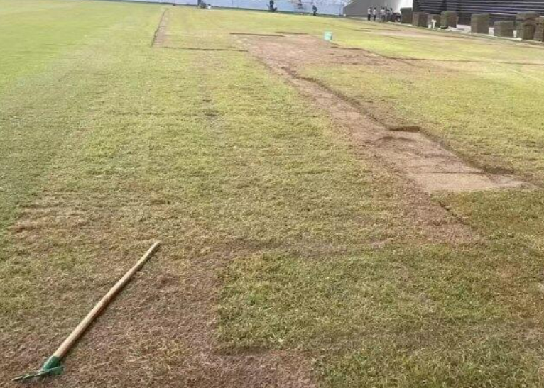 官方：因草坪问题，深圳新鹏城vs武汉三镇比赛延期