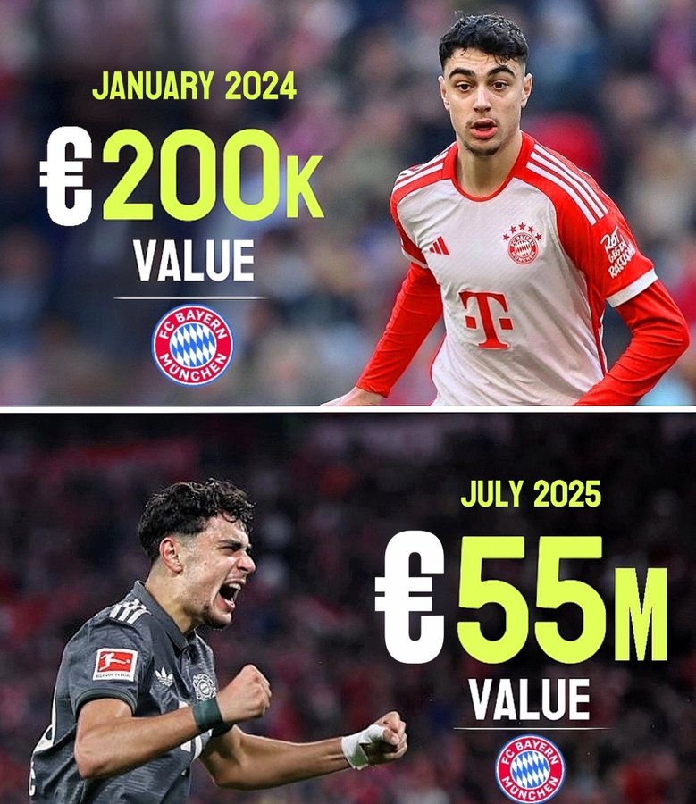 拜仁队内身价对比：帕夫洛维奇涨幅最大，格纳布里却已无人问津