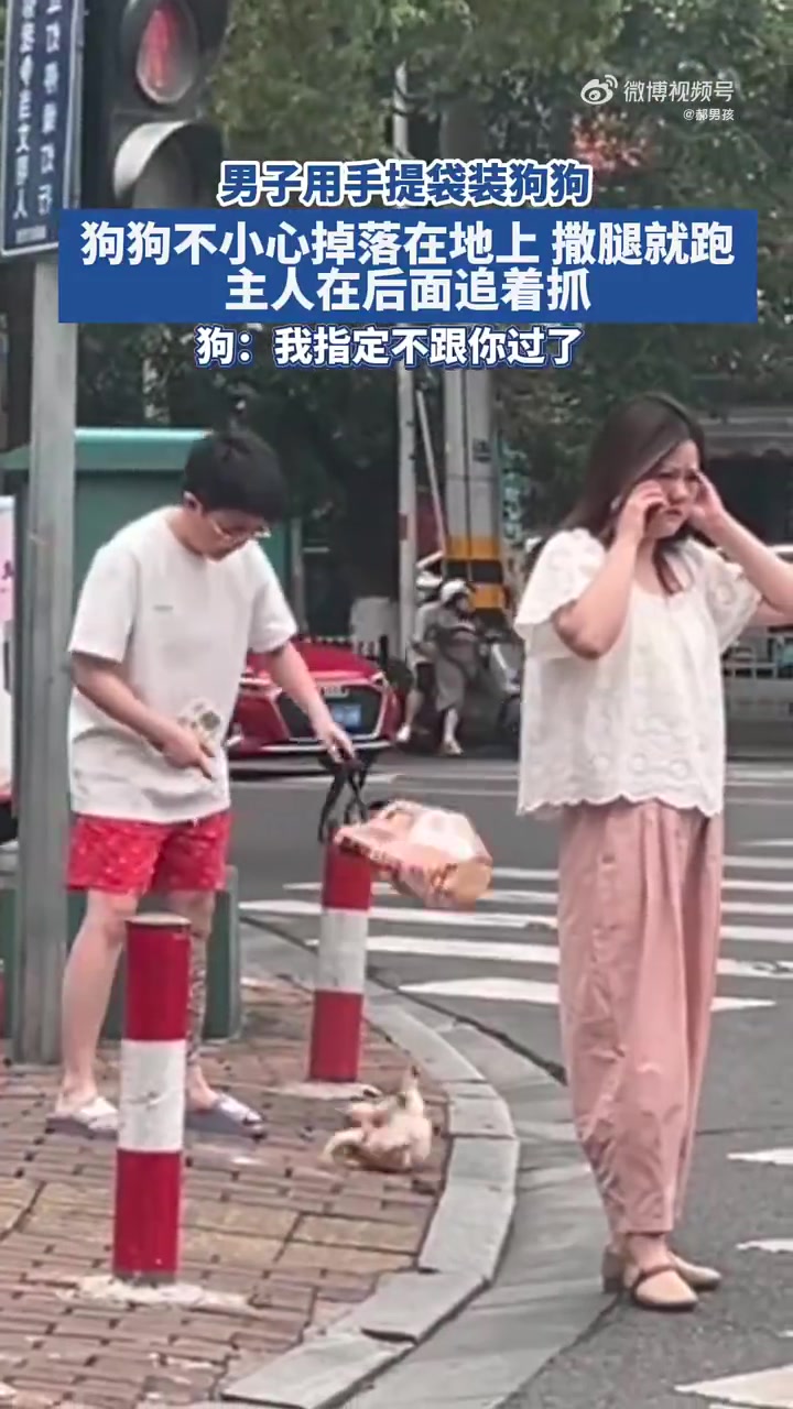 猫猫狗狗也有了“中医院”：望闻问切一个不少_凤凰网, image size:720x1280