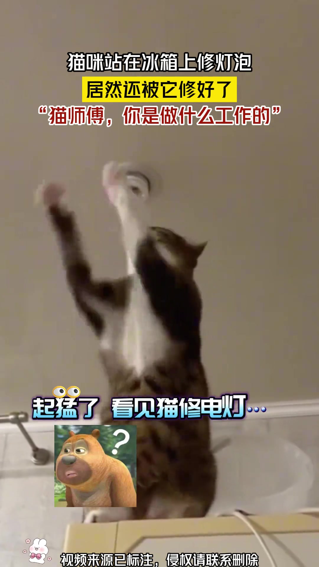 猫师傅，你是做什么工作的” ？？-24VS直播