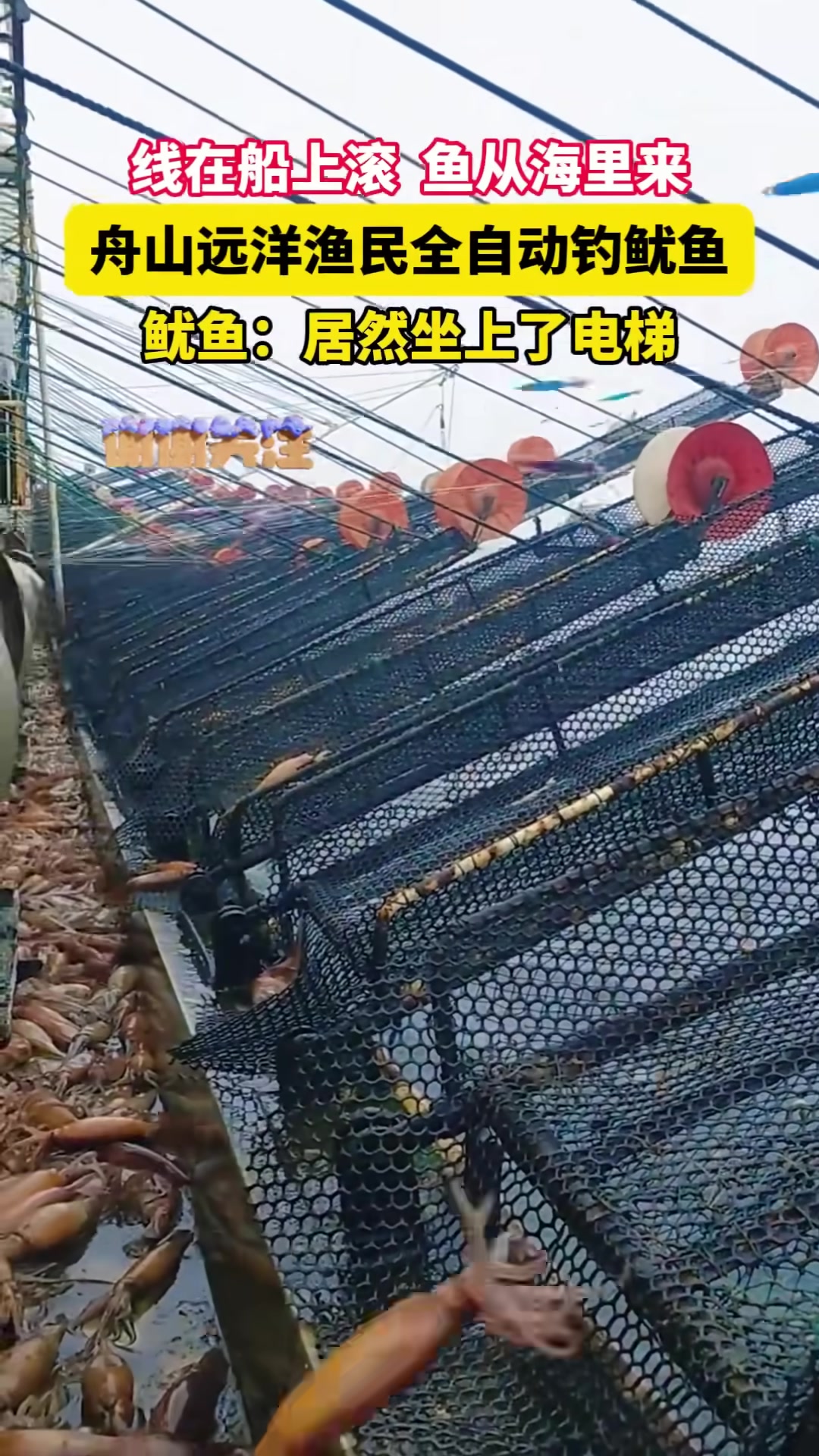 全自动钓鱼船？！钓鱼佬也有自己的航空母舰！-24VS直播