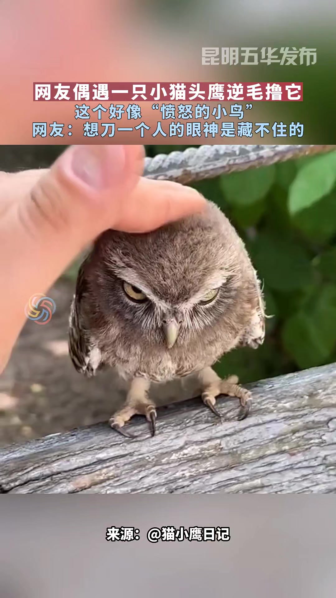 Angel (@wutina1015) • Instagram photos and videos, image size:1080x1920