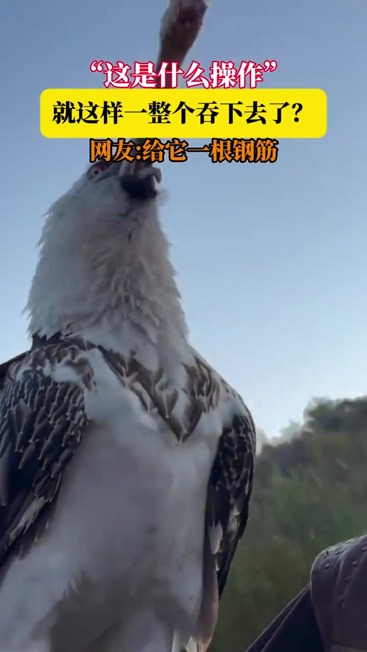 深渊巨口？竟整个吞下去？网友：给根钢筋！-24VS直播