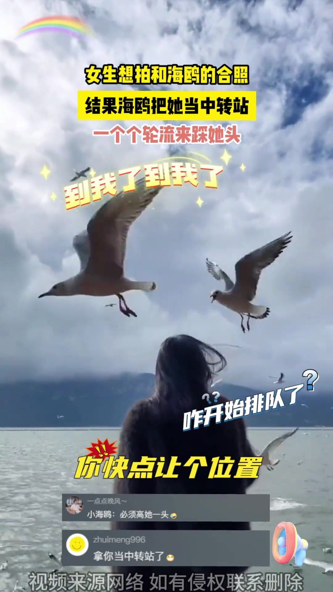 海鸥直播下载2024安卓最新版_手机app官方版免费安装下载_豌豆荚