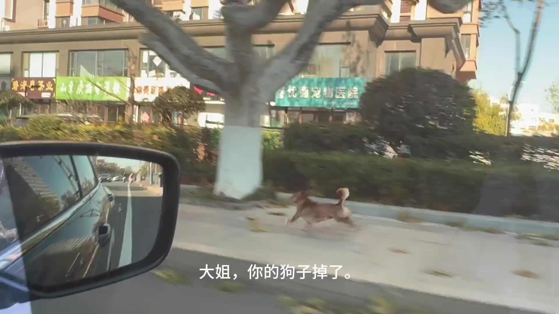 撒尿 